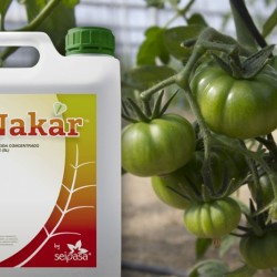 Nakar, lo último contra la mosca blanca