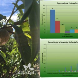 Biopesticidas registrados, el aval de una agricultura sana y segura