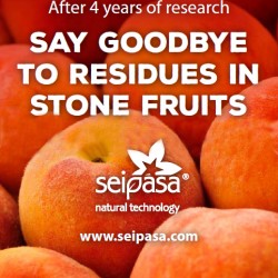Cero Residuos: Más rendimiento, calidad y vida útil en fruta de hueso